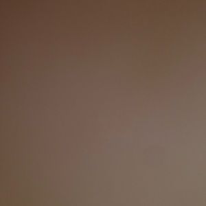 Meet your Posher, Anne